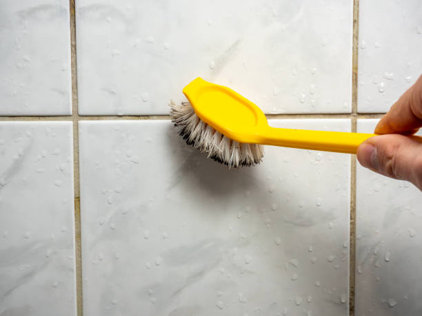 Best Local Mold Removal Service  in Green Valley, SD