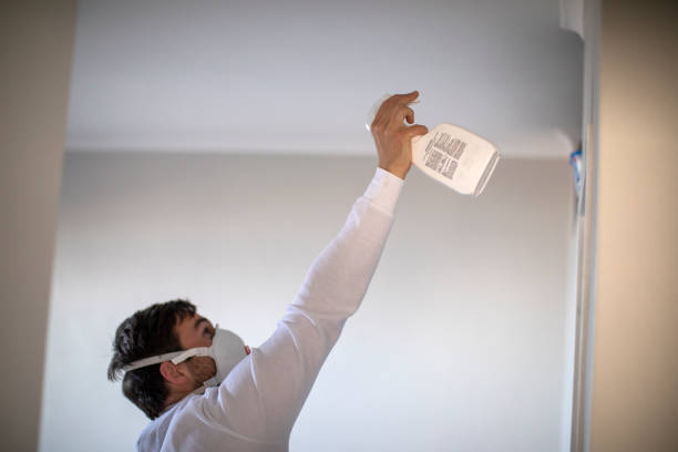 Best Crawl Space Mold Removal  in Green Valley, SD