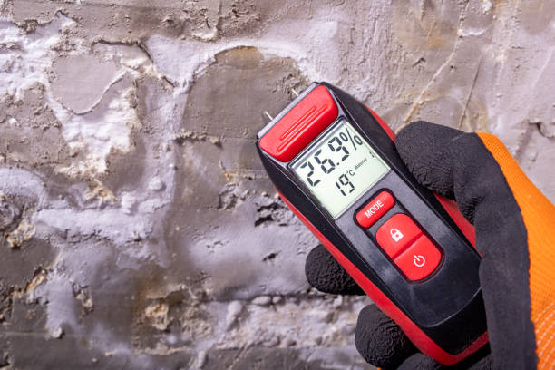 Best Commercial Mold Removal  in Green Valley, SD