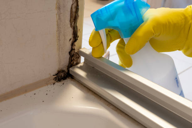 Best Mold Testing  in Green Valley, SD