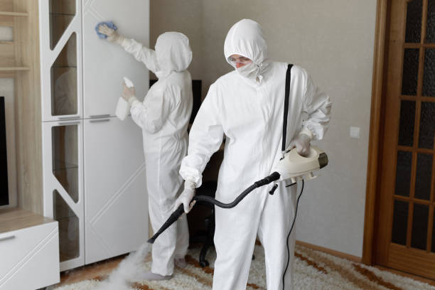 Mold Removal and Inspection in Green Valley, SD